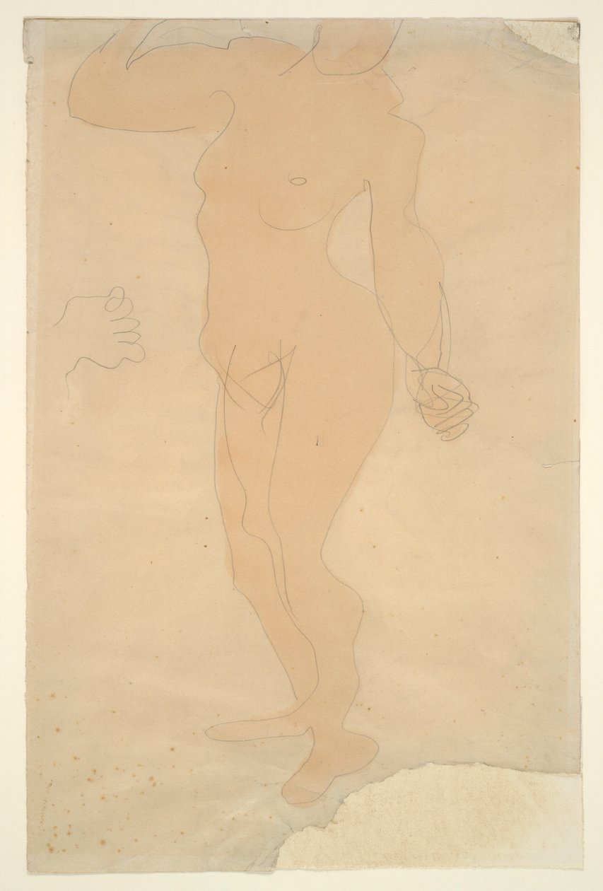 Nu em pé (cabeça parcialmente cortada pela borda do papel) de Auguste Rodin