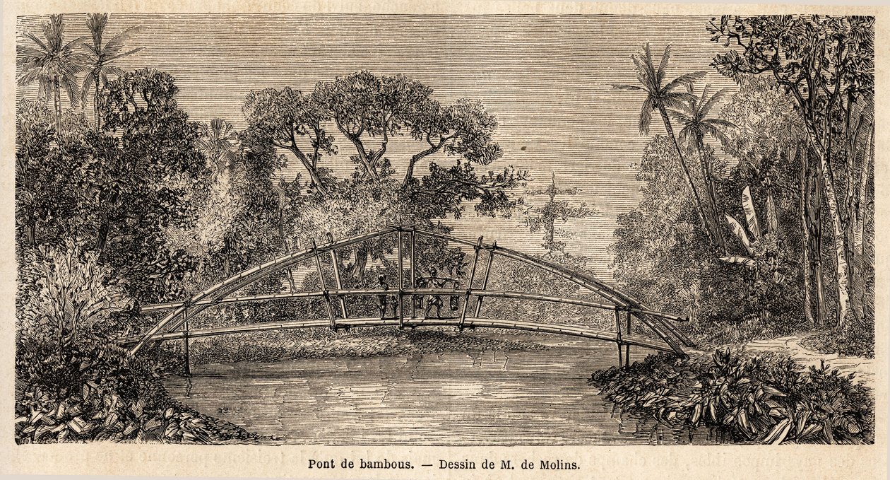 Uma ponte de bambu, na selva, perto da montanha Salak. Desenho de M. de Molins, para ilustrar a sua viagem a Java de Auguste de Molins