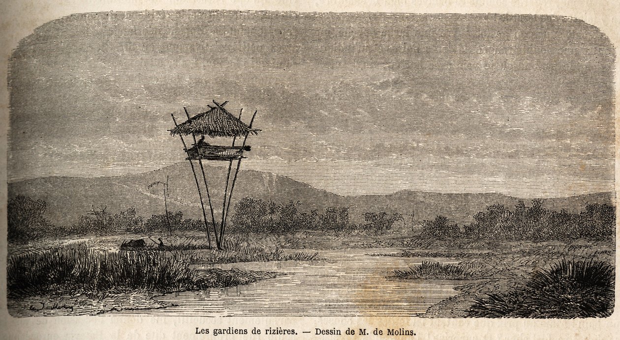 Um guarda de arroz, perto de Batávia (actual Jacarta). Desenho de M. de Molins, para ilustrar a sua viagem a Java de Auguste de Molins