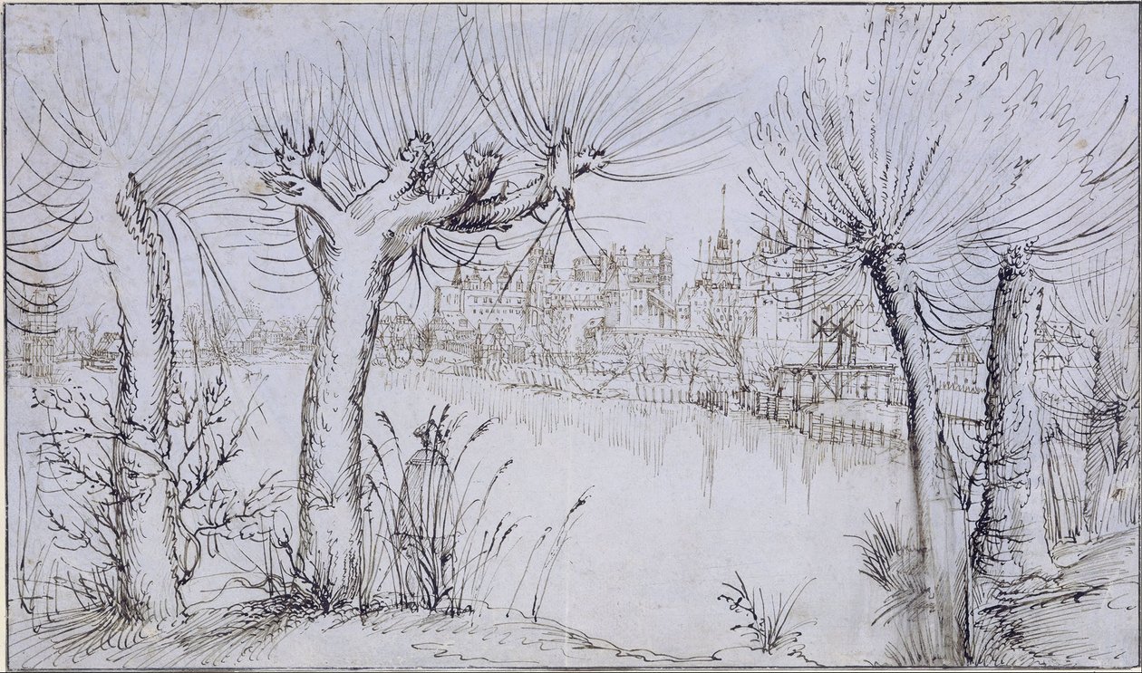 Lagoa antes de uma cidade de Augustin Hirschvogel