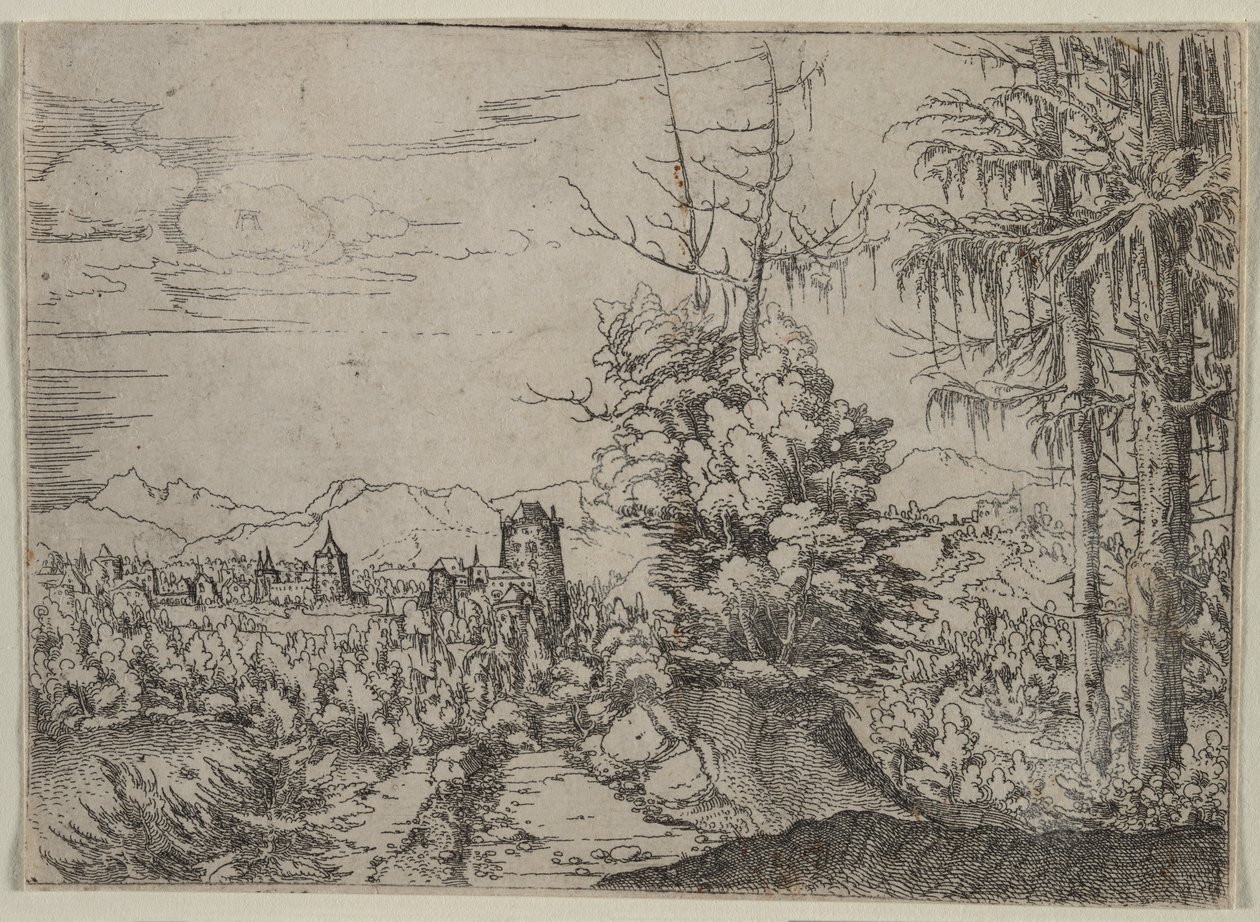  de Augustin Hirschvogel