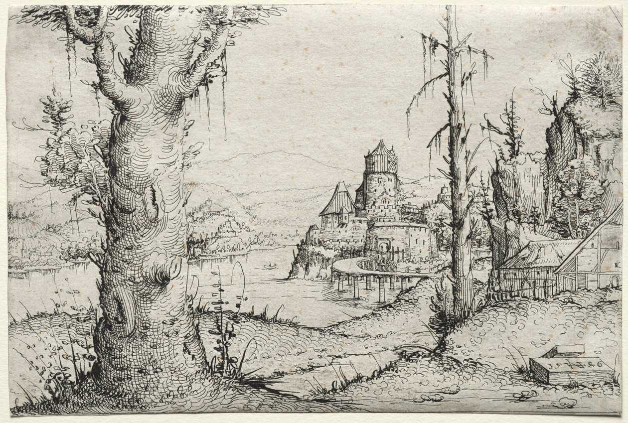 Paisagem do rio com grande árvore à esquerda de Augustin Hirschvogel