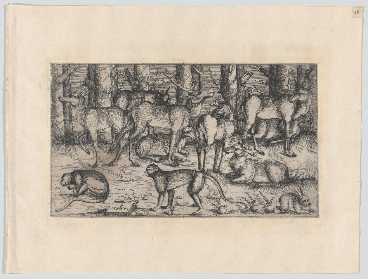 Veados na Floresta, 1545. de Augustin Hirschvogel