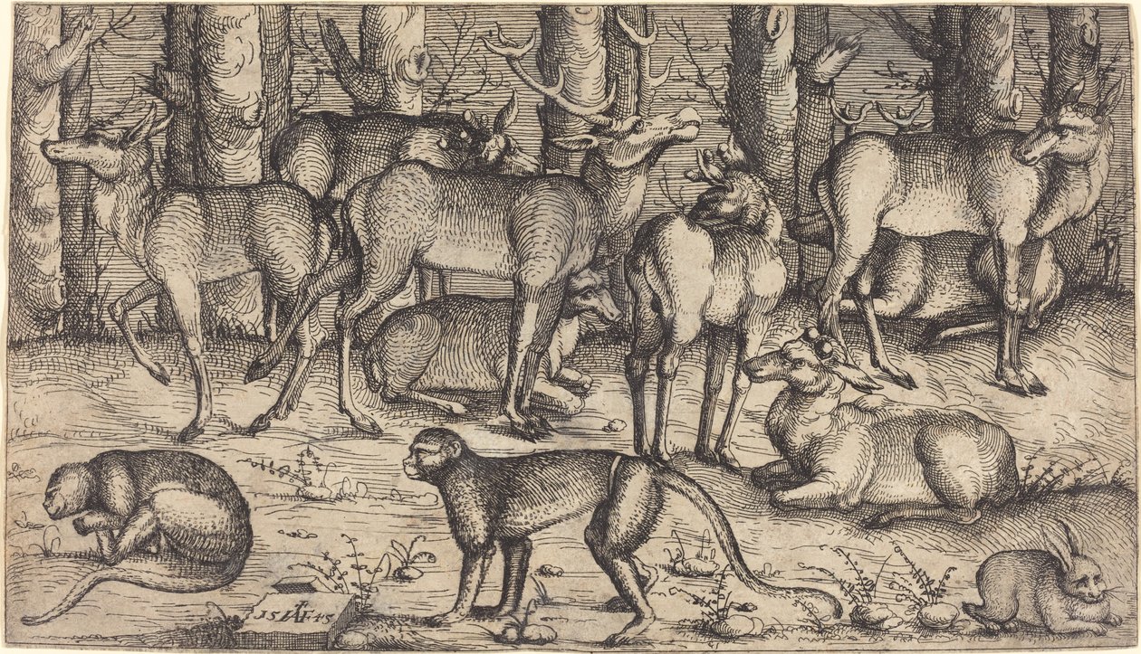 Veados na Floresta, 1545. de Augustin Hirschvogel