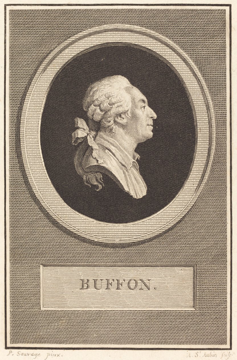 Buffon de Augustin de Saint Aubin after Piat Joseph Sauvage