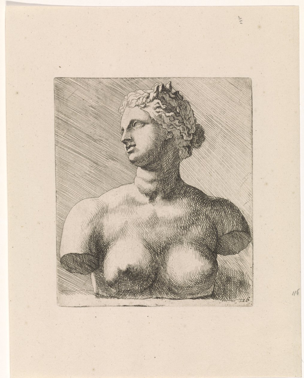 Busto de Vênus de