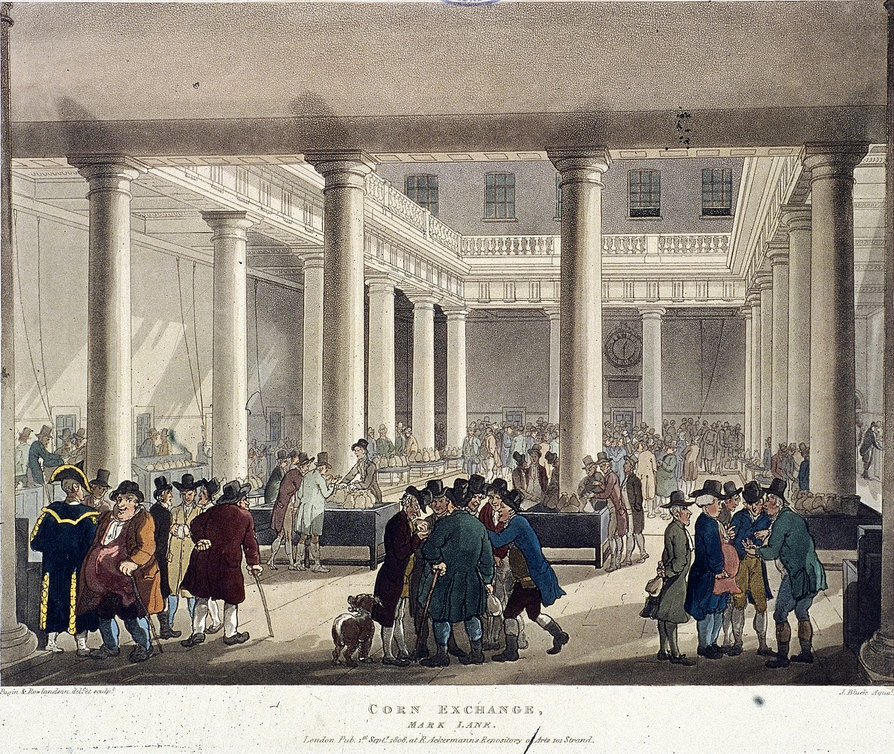 Floresta. de Augustus Charles Pugin, Thomas Rowlandson