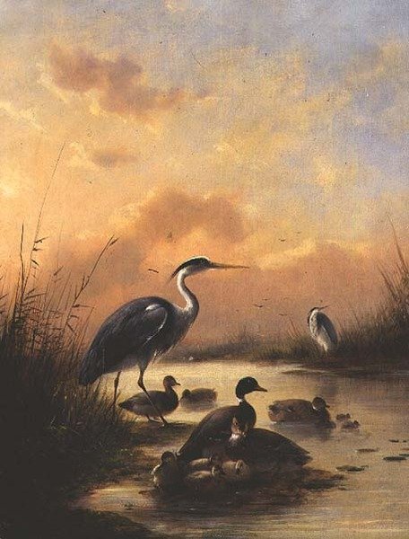 Uma família de Mallard e duas garças (par de 77887) de Augustus Knip