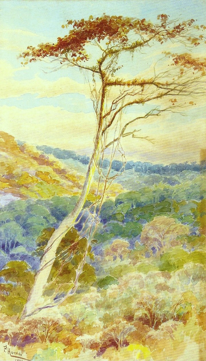 Panorama de Aurelio de Figueiredo