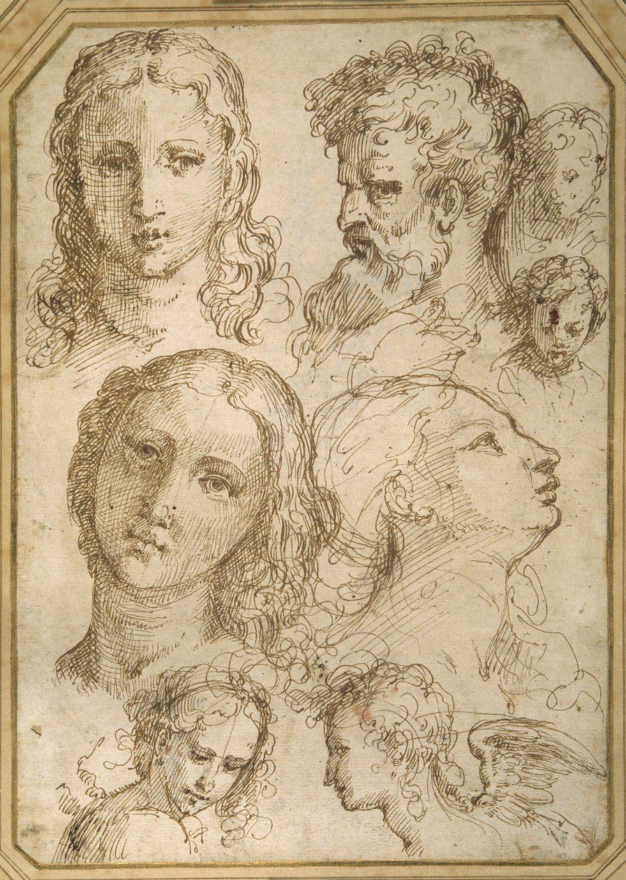 Estudos da cabeça: uma mulher, um anjo, um jovem e um homem barbado (caneta e tinta marrom sobre papel branco) de Aurelio (attr. to) Luini