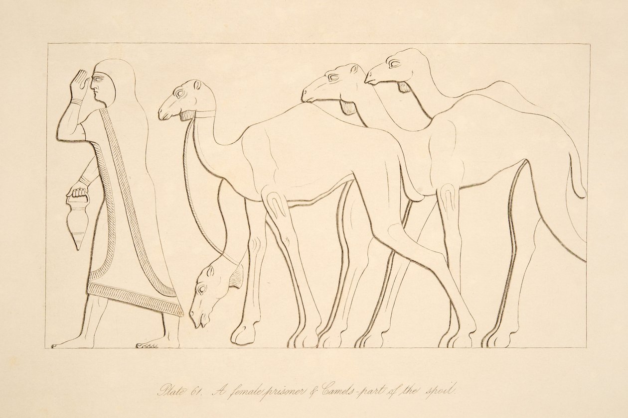 Um, femininas, prisioneiro, e, camelo, ilustração, de, monumentos, de, nineveh, 1849 de Austen Henry Layard