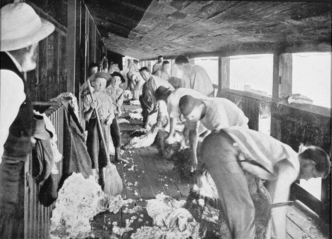 Sheep Shearing Shed, Queensland, c.1900, de "Sob o Cruzeiro do Sul - Vislumbres da Austrália", publicado em 1908 de Australian Photographer