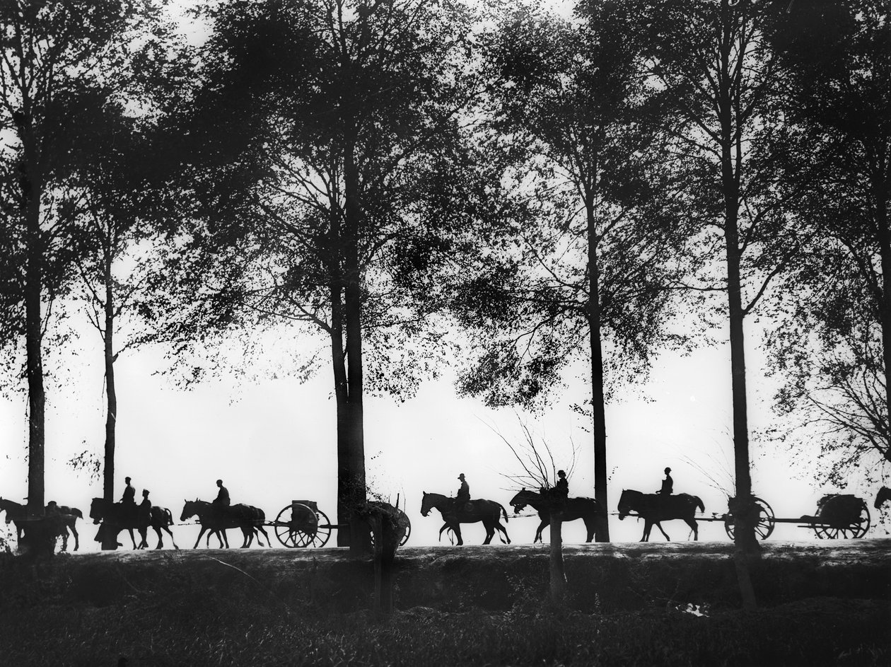 Uma visão, em silhueta, de membros da artilharia australiana carregados de munição que seguem pela Ypres Road, 25 de setembro de 1917 de Australian Photographer