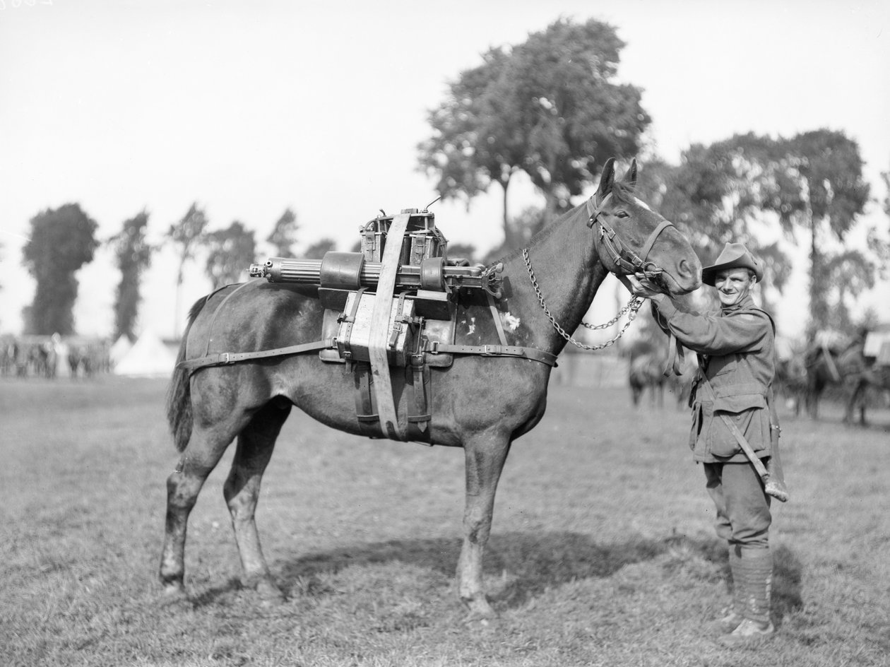 Um soldado australiano, 244 Motorista FW Stephenson, 2º Batalhão de Metralhadoras Australianas, com um cavalo de carga carregado com uma metralhadora na Escola de Treinamento Australian Pack em Morbecque, 29 de agosto de 1917 de Australian Photographer