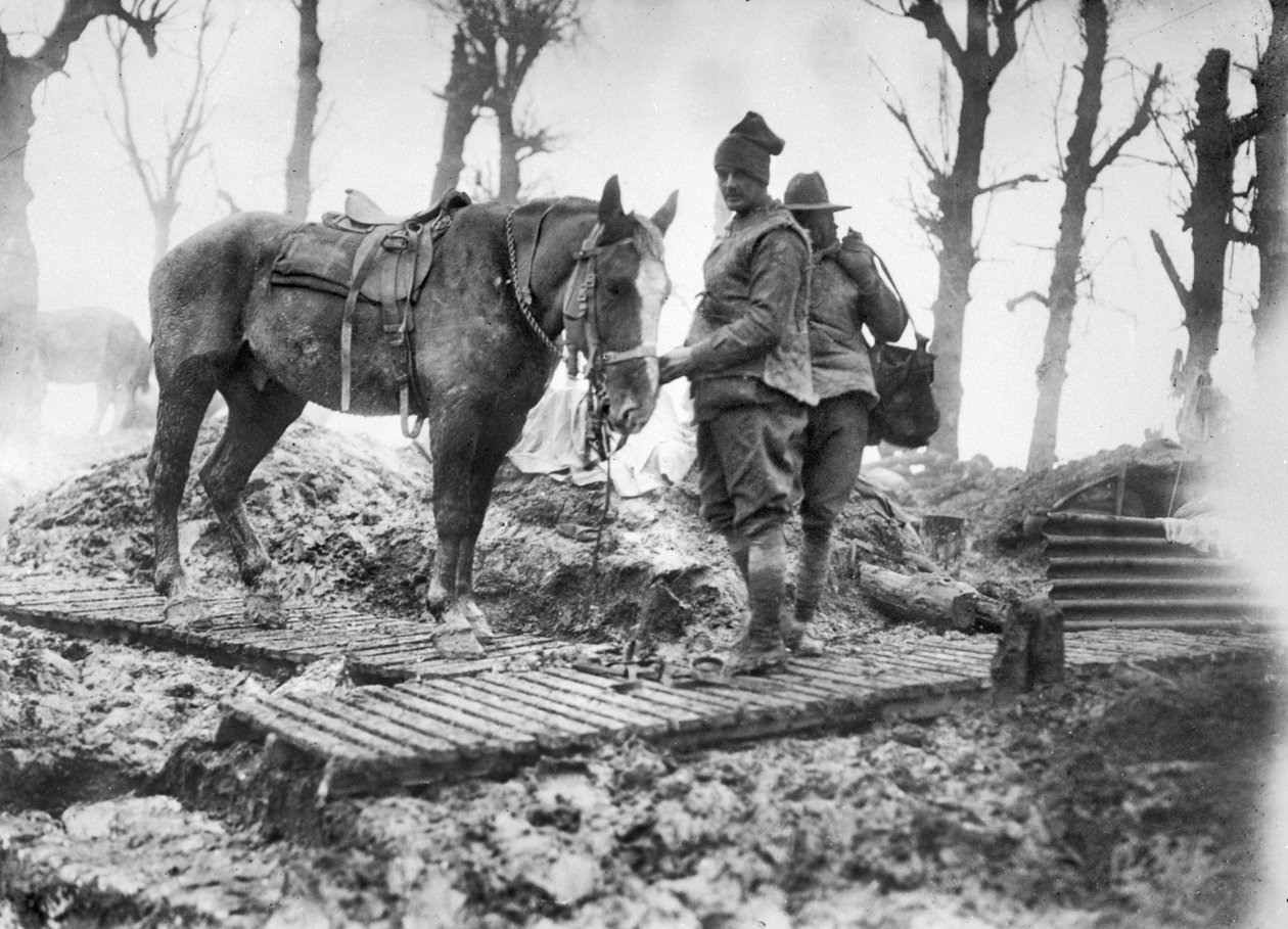 Um cavalo de artilharia usado para o transporte de munição para as armas e seu motorista australiano não identificado em uma pista de patinação entre Mametz e Montauban, dezembro de 1916 de Australian Photographer