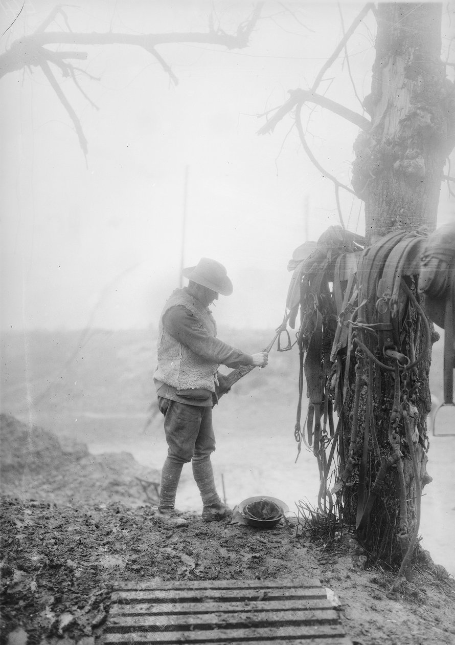 Um motorista de artilharia australiano não identificado limpando a lama de suas equipes aproveita em um boleto perto de Mametz, dezembro de 1916 de Australian Photographer