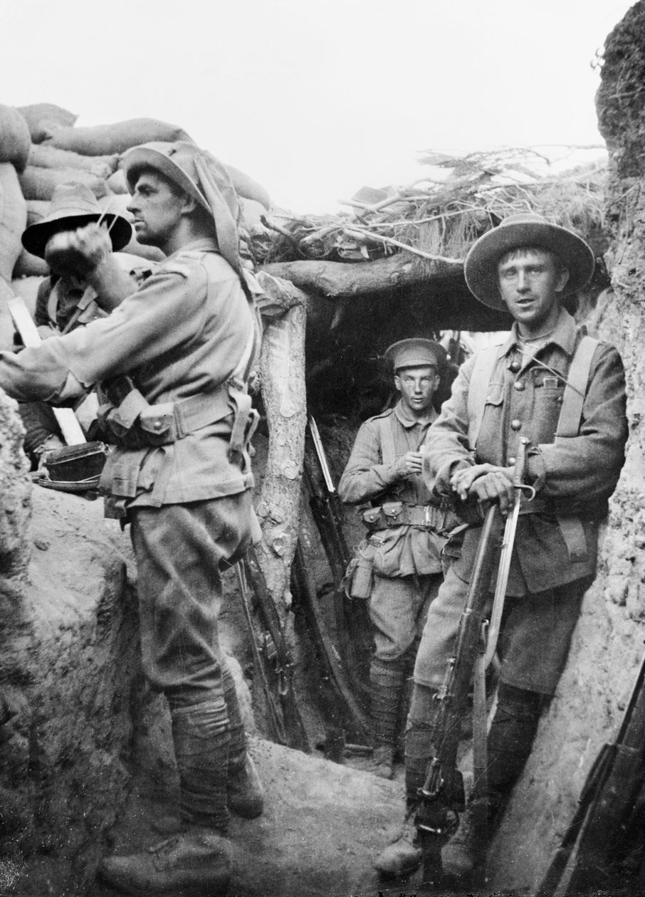 Tropas australianas nas trincheiras turcas de Lone Pine, 1915 de Australian Photographer
