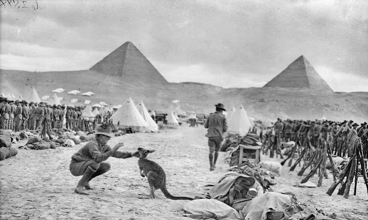Linhas do 9º e 10º Batalhões australianos em Mena Camp, olhando para as pirâmides, dezembro de 1914 de Australian Photographer