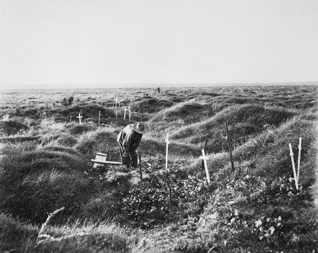 Vista de sepulturas australianas espalhadas ao longo da linha OG1 no campo de batalha de Pozieres, 16 de setembro de 1917 de Australian Photographer