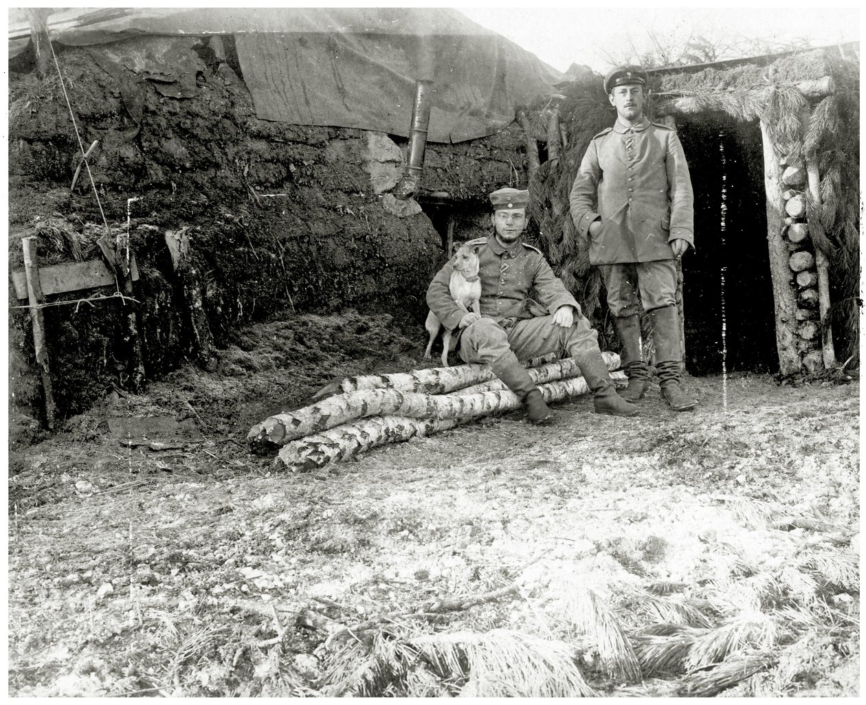 Soldados austríacos com um cachorro, 1914-18 de Austrian Photographer
