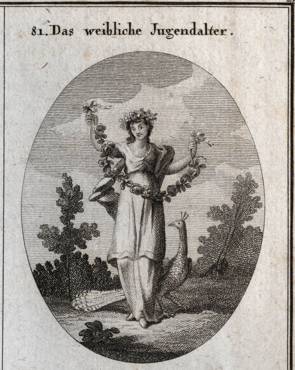 Alegoria da adolescência (adolescente) representada por uma jovem mulher com uma coroa e uma guirlanda de flores para denotar feliz fellicite. O pavão compreende o amor do adorno. O seu pé é colocado sobre um relógio de areia (ampulheta). Gravura em "Icono de Austrian School