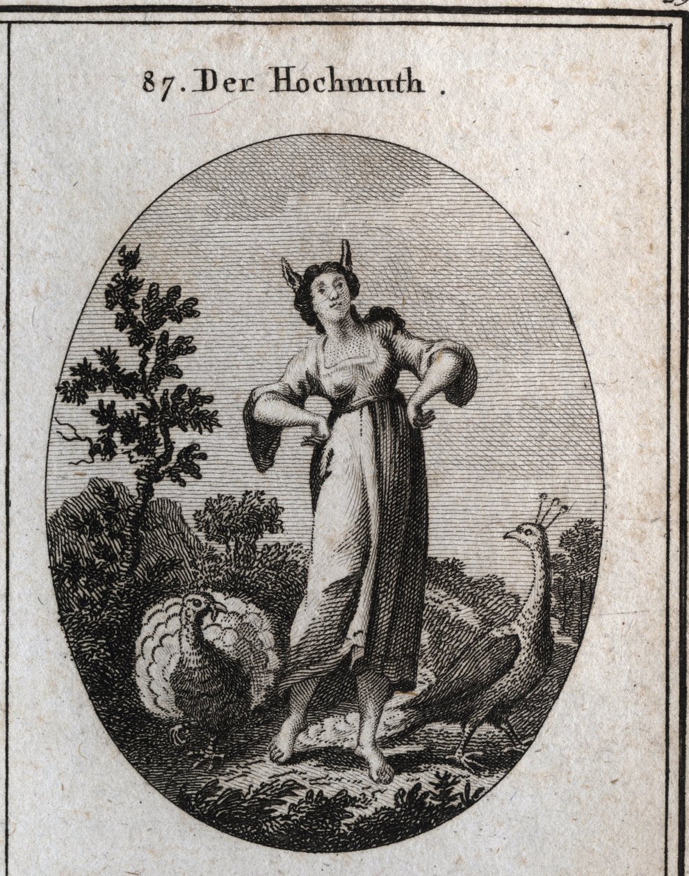 Alegoria de arrogância. As suas orelhas de burro marcam a ignorância e a sua postura denota o seu orgulho. O pavão é um símbolo de orgulho e o peru que faz a roda é o da estupidez. Gravura em "Iconologie oder Ideen aus dem Gebiete der Leidenschaften und Al de Austrian School