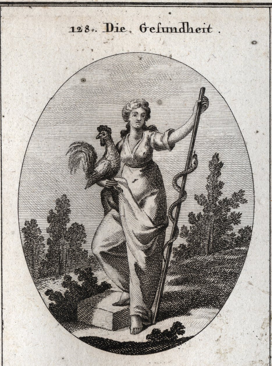 Alegoria de saúde representada por uma mulher forte segurando um galo, animal consagrado a Aesculapus, Deus da medicina. Segura um pau em volta do qual está um animal cobra (decíduo) menos propenso a doenças. Gravura em "Iconologie oder Ideen aus dem Gebie de Austrian School