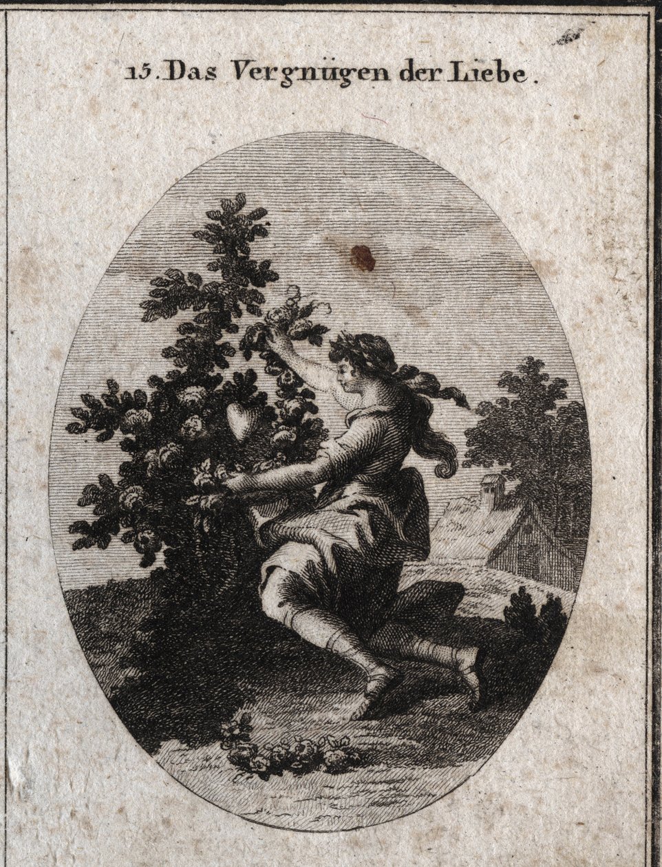 Alegoria de satisfação amorosa representada por um gracioso adolescente ajoelhado em frente a um coração no meio de uma roseira florida cujas rosas e espinhos são alusivos às tristezas e doces do amor. O amante chora para embelezar o que ama, que é de Austrian School