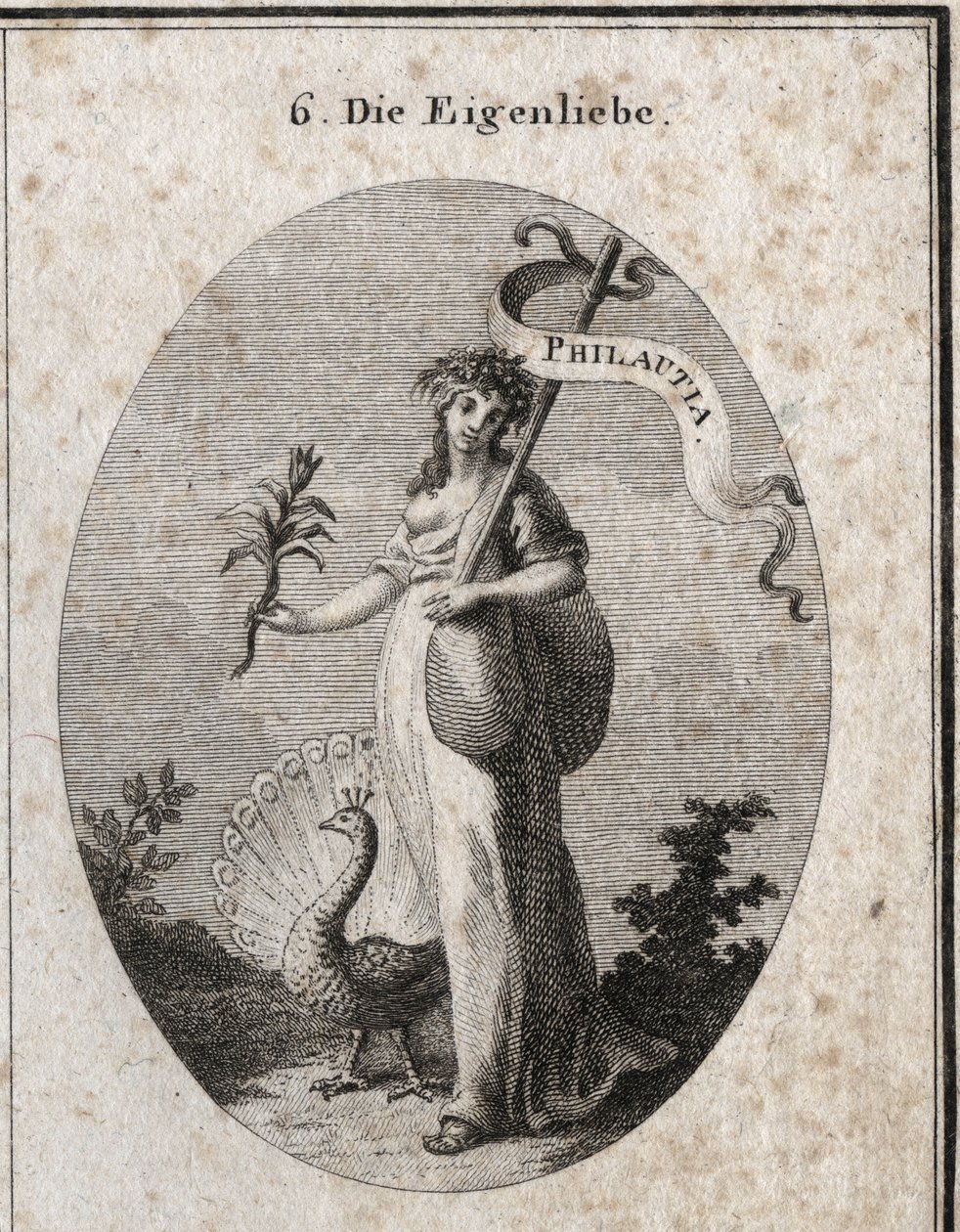 Alegoria de amor-próprio representada como uma jovem mulher fechando um saco simbolizando seus defeitos com uma baguete na qual está inscrita a tradução grega "Philautia". Atributos: o pavão que faz a roda e o narciso florescer. Gravura em "Iconologi de Austrian School