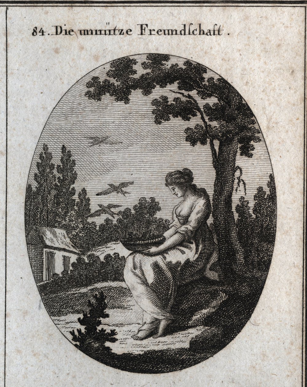 Alegoria de amizades inúteis segurando um ninho permitindo que as andorinhas voem para longe. Gravação em "Iconologie oder Ideen aus dem Gebiet der Leidenschaften und Allegorien bildestellt fur Zeichner, Mahler, Dichter, Gelehrte, Erzieher und freunde Hohe de Austrian School