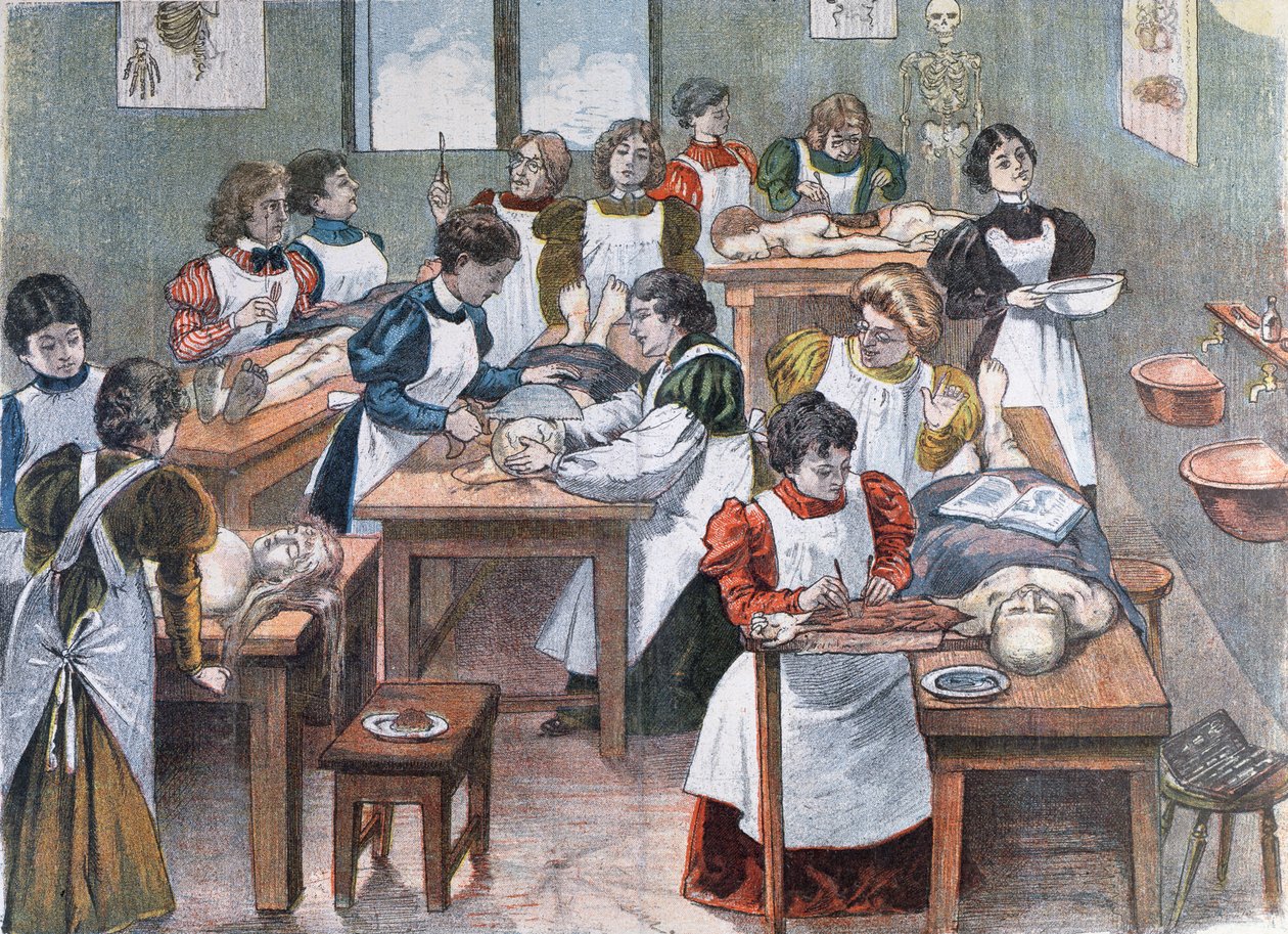 Estudantes do sexo feminino em um Instituto de Anatomia em Nova York, 1897 de Austrian School