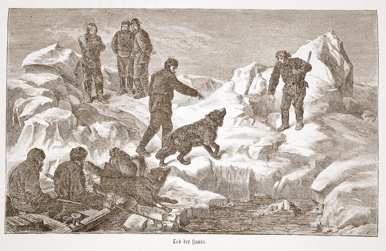 Caça com cães, 1876 de Austrian School