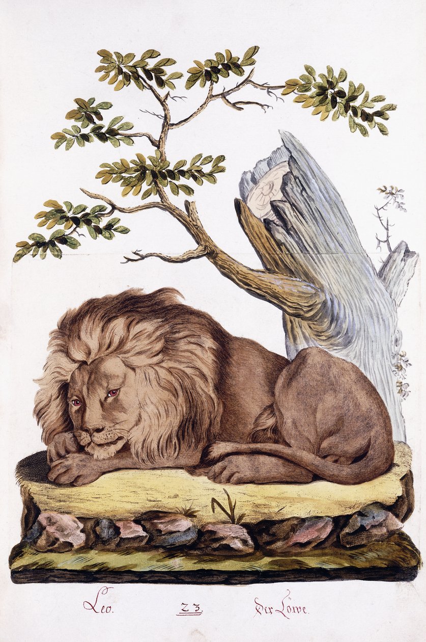 Leão, 1794 de Austrian School