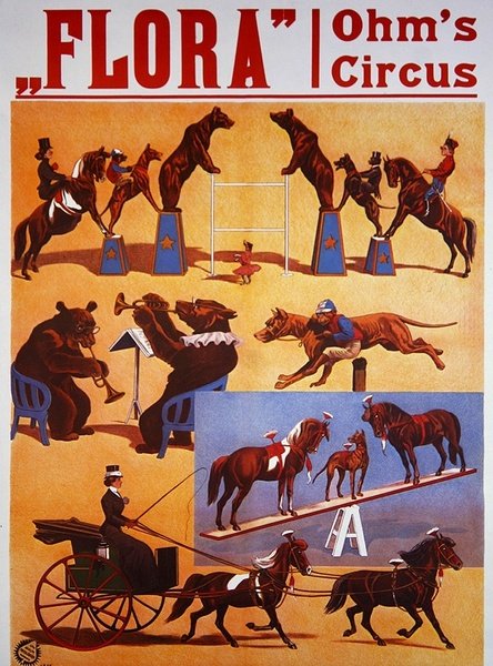 Cartaz publicitário 