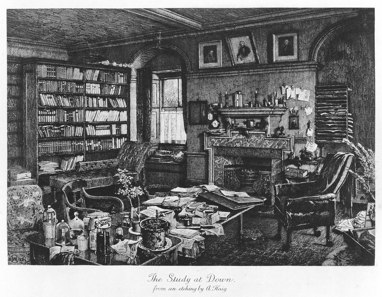O Estudo em Down, pub. 1882 (gravura) de Axel (after) Haig