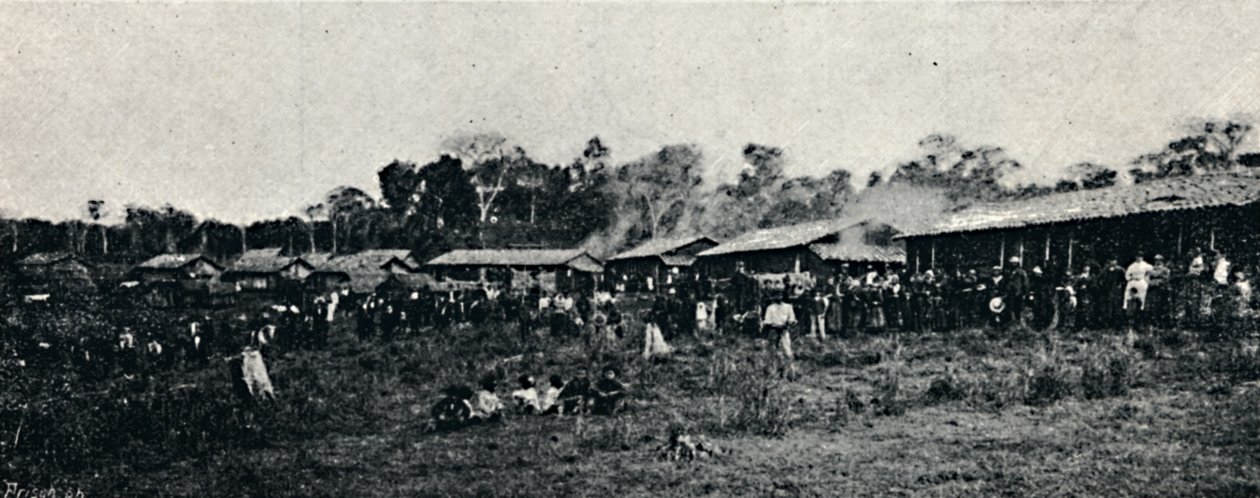 Colonia Italiana Fazenda Arindiuba, 1895 de Axel Frick