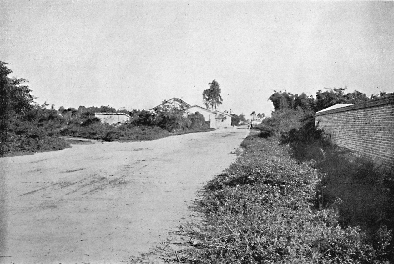 Colonia de S. Bernardo, Colony of Sao Bernardo do Campo, 1895 de Axel Frick