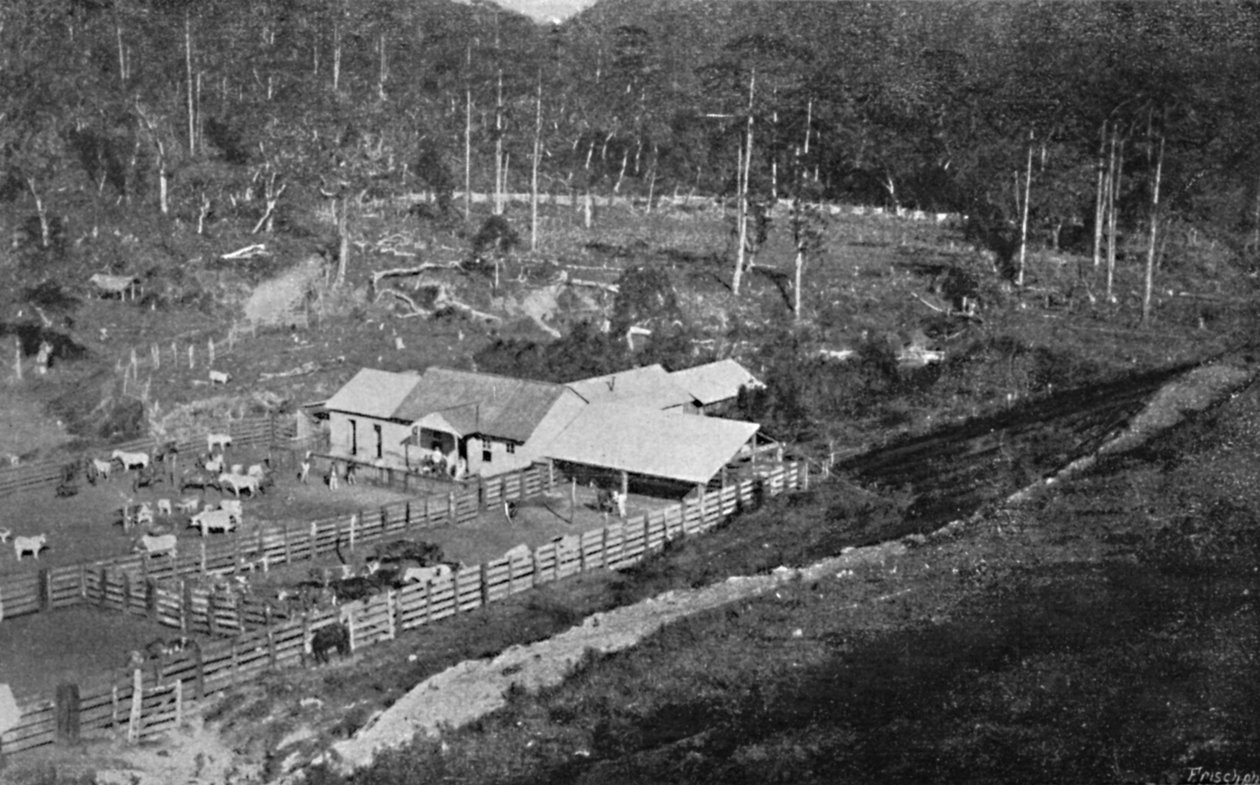 Fazenda de Criacao Campos do Jordao, Criacao Farm, 1895 de Axel Frick
