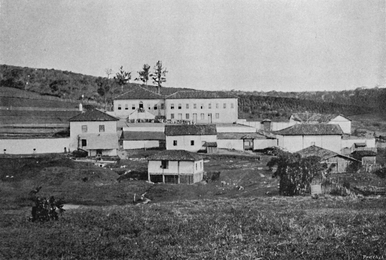 Fazenda de Sete Quedas Campinas, Sete Quedas Farm, 1895 de Axel Frick