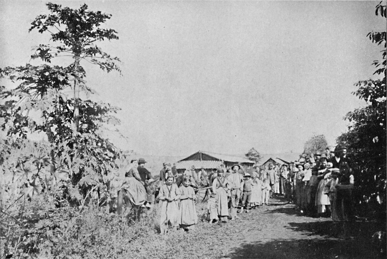 Festa em uma Colonia, Party in a colony, 1895 de Axel Frick