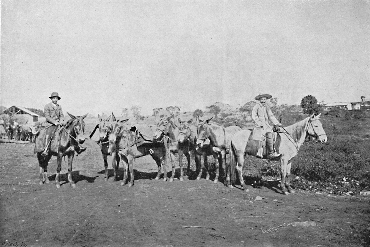 Negociantes do Interior, Traders of the Interior, 1895 de Axel Frick