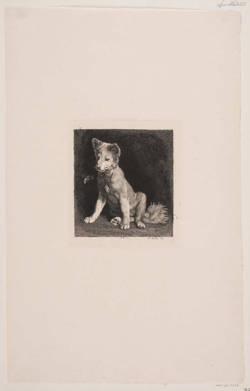 O cão e a abelha de Axel Helsted