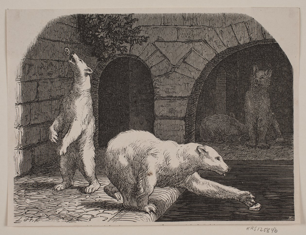 Ursos no Jardin des Plantes de Axel Theodor Kittendorff