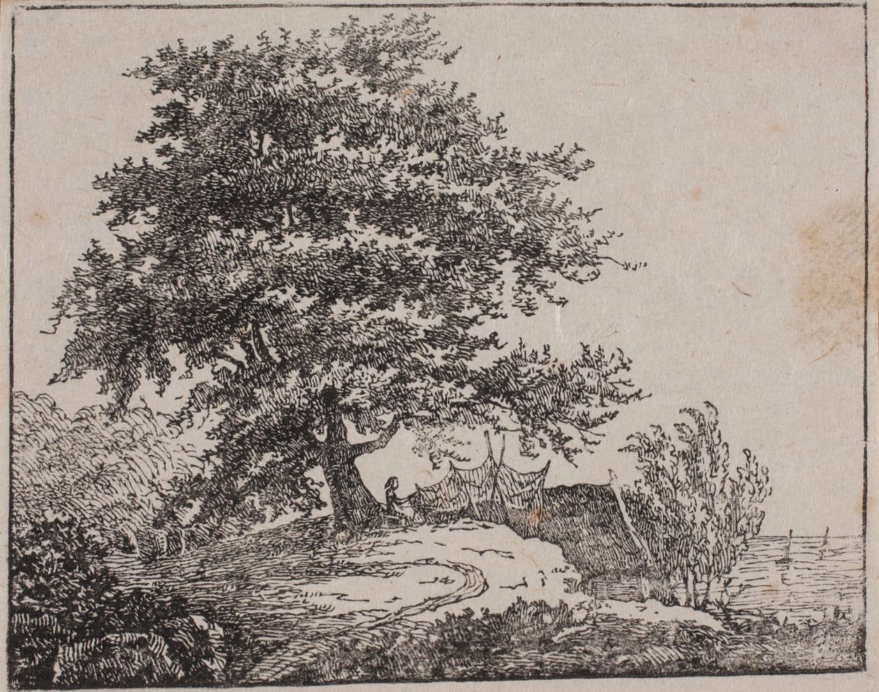 Árvore em um penhasco à beira-mar de Axel Theodor Kittendorff