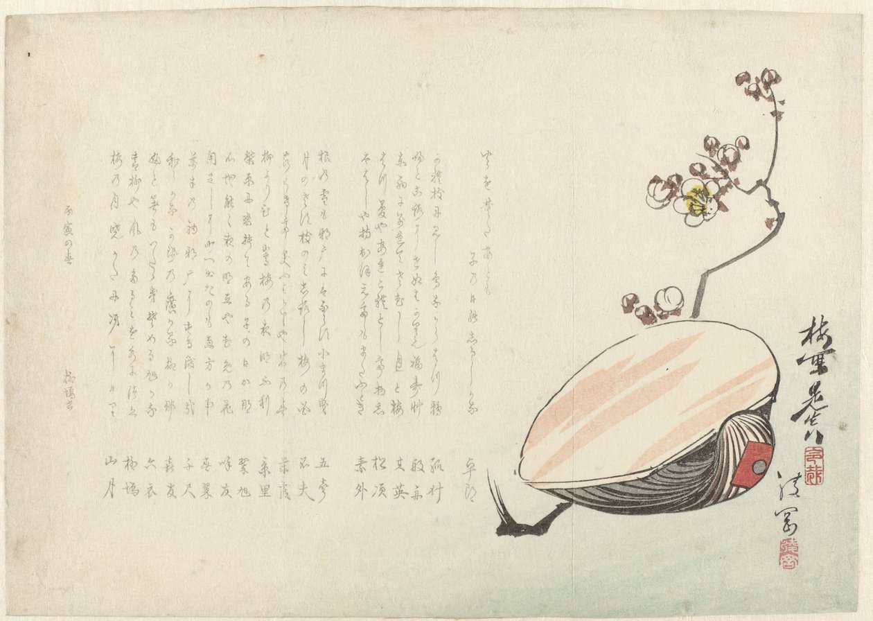 Esquema de Ayaoka Yûshin