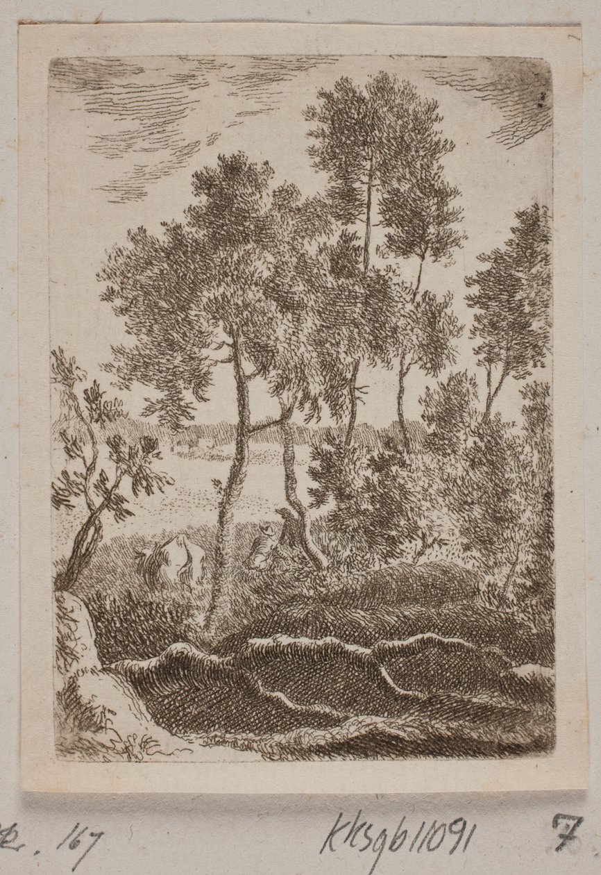Lote da floresta de B. Flügge