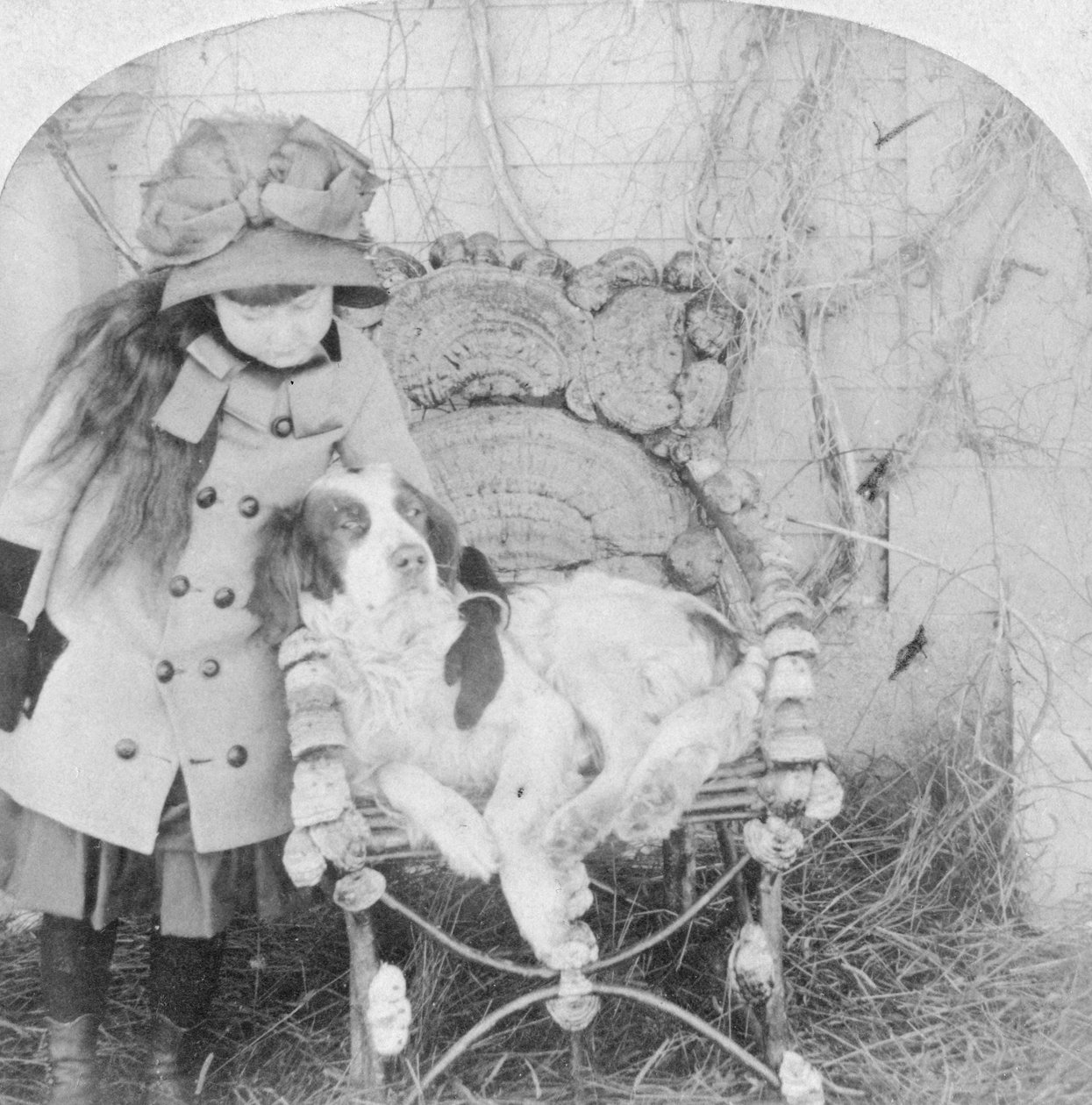Você não pode falar, Jack, 1882 de B. W. Kilburn
