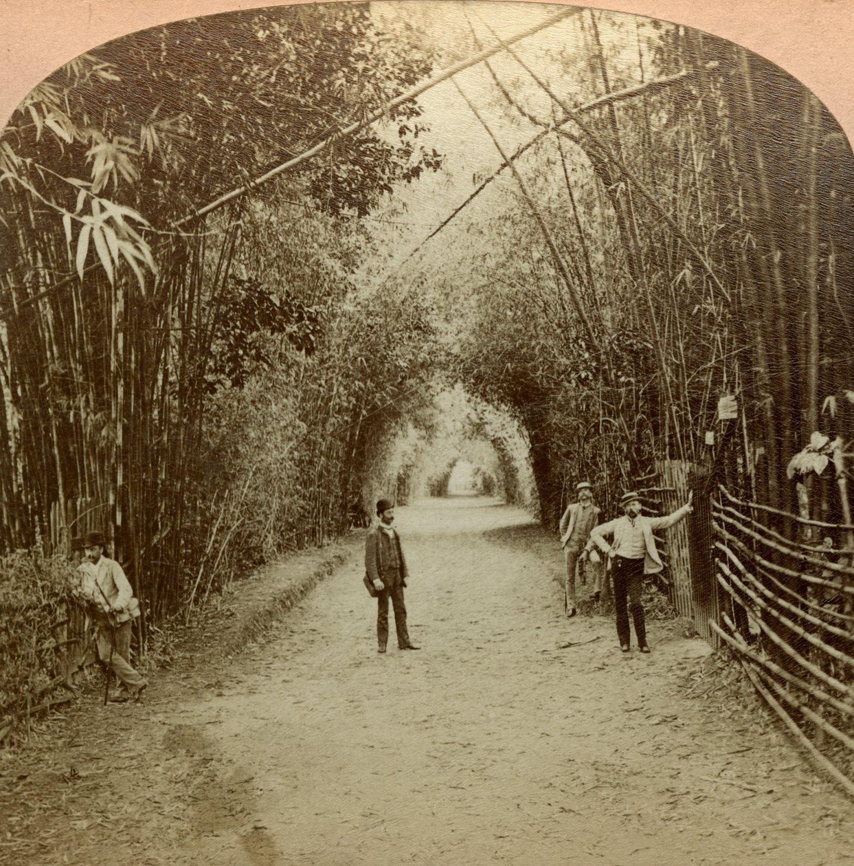 O Mardyke, Cork, Irlanda. de B. W. Kilburn