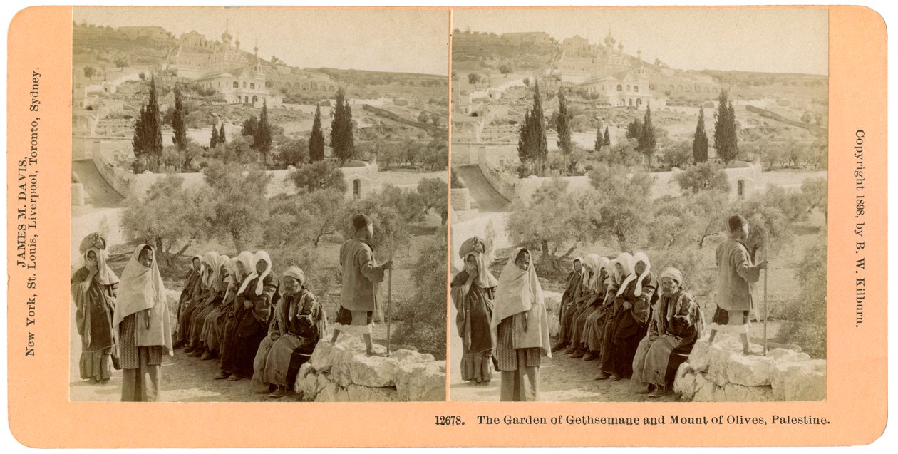 O jardim do Getsêmani e o Monte das Oliveiras, Palestina, 1898. de B. W. Kilburn