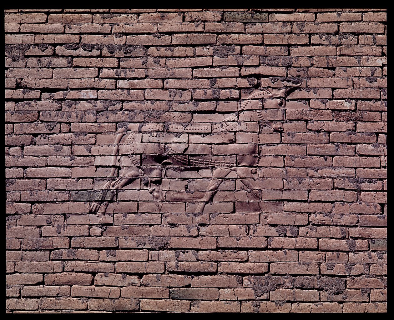 Detalhe de um touro, relevo do portão de Ishtar, 580 a.C. de Babylonian